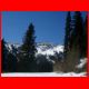 grosshansl_04-07_03.JPG