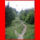 schoeckl_06-08_6.jpg