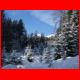 03_silberling_01-09_02.jpg