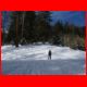 03_silberling_01-09_05.jpg