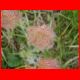 maria_schnee_07-09_22.jpg