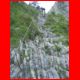 traunstein_08-09_097.jpg