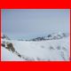 wildfeld_01-10_22.jpg
