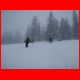 tonion_03-10_33.jpg