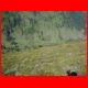 laerchkaralm_08-10_56.jpg