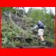 rax_08-10_18.jpg
