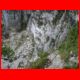 rax_08-10_52.jpg