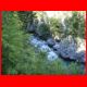 rax_08-10_79.jpg