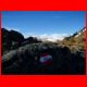 39_rappoldkogel_11-10_16.jpg