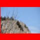 rote_wand_03-11_30.jpg