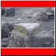kili_tag10_13.jpg
