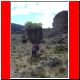 kili_tag11_10.jpg