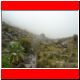 kili_tag11_13.jpg