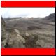 kili_tag11_17.jpg