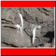 kili_tag12_29.jpg