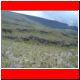 kili_tag12_37.jpg