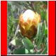 kili_tag12_39.jpg