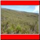 kili_tag12_40.jpg