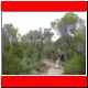 kili_tag12_43.jpg