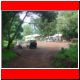 kili_tag13_10.jpg